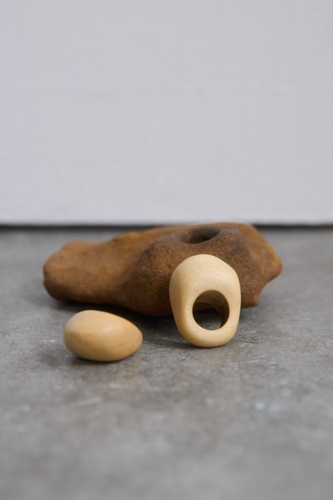 ANILLO SEYA
